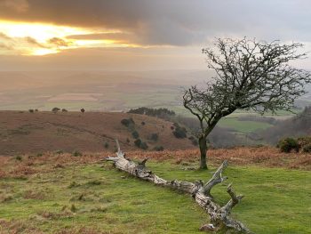 Wild Ceremonies on the Quantock Hills in Somerset