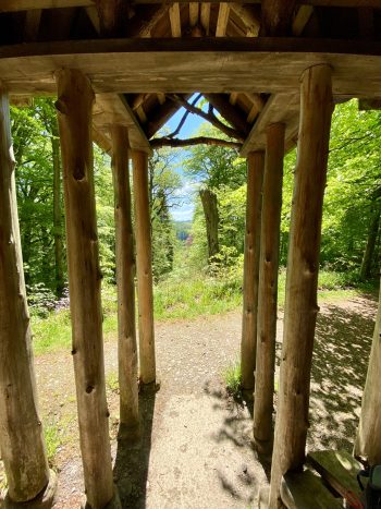 Hidden Temple - Wild Heart Ceremonies